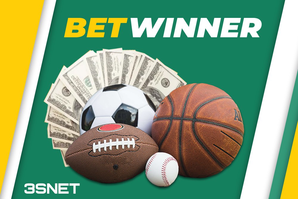 BetWinner Rules Comprehensive Guide to Terms, Bets, and Procedures