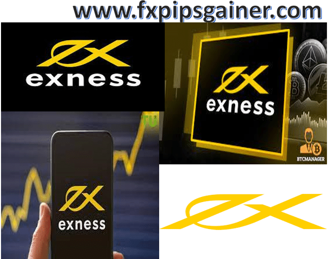 Understanding the Exness Forex Calculator A Complete Guide Understanding the Exness Forex Calculator A Complete Guide