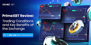 Mastering PrimeXBT Trading A Comprehensive Guide for Beginners and Experts Mastering PrimeXBT Trading A Comprehensive Guide for Beginners and Experts