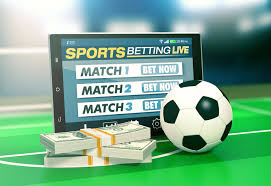 Understanding Bedwinner Revolutionizing Online Betting Experience Understanding Bedwinner Revolutionizing Online Betting Experience