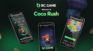 Experience the Thrill of Play Miner at BC.Game