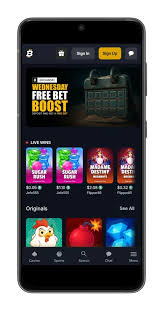 How to Maximize Your Experience at Bitfortune Live Casino -1303102496