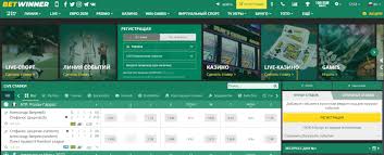Comprehensive BetWinner Review A Top Choice for Online Betting