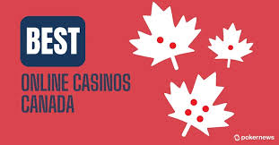 Discover the Best Live Casino Online Experiences