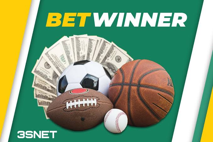 Explore BetWinner Sportsbook Your Gateway to Thrilling Betting Experience